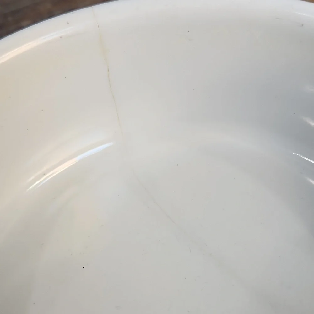 Food Water Dog Bowl Blue Paws Pawprints White Black